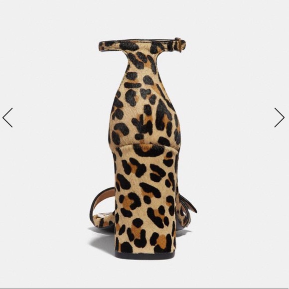 Coach | Maya Buckle Calf Hair Leopard Sandal - Picture 7 of 8